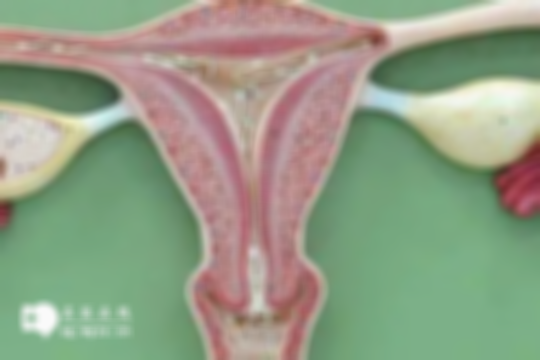 三胎备孕前的检查项目有哪些？女性这几项妇科检查必不可少