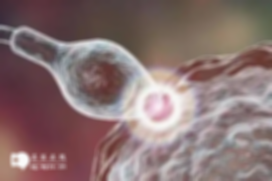 备孕的关键因素筛查，这两大项不可忽视