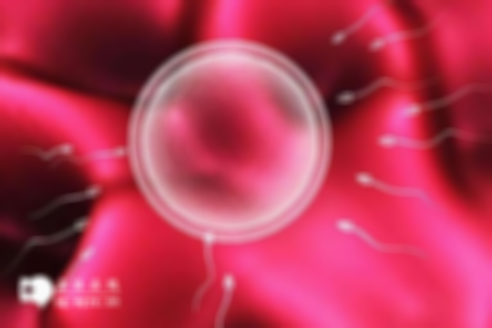 武汉做三代试管助孕生子的大概费用解读，一共包含这些项目