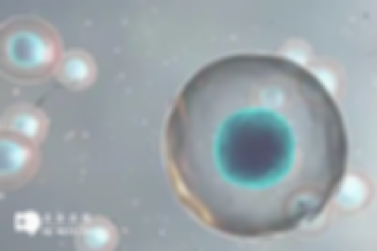 福州做试管婴儿的价格明细表一览，不同医院收费不同
