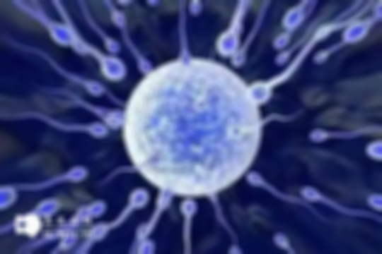 成都做三代试管助孕的全部费用详解，试管家庭必看！