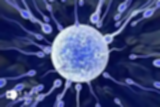 海南做三代试管移植的费用明细清单表一览，帮你选择性价比方案