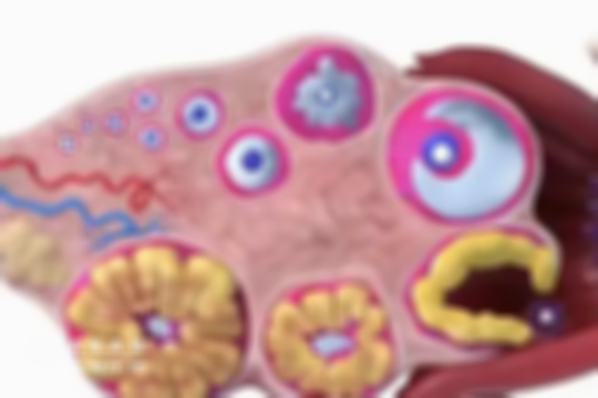 促排第一天应该注意什么？这些生活注意事项别忽视