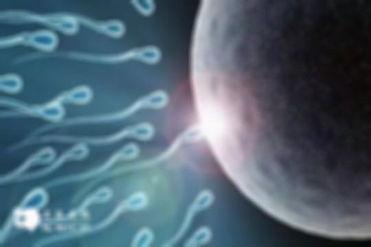 成都做第三代试管婴儿的费用揭秘，预估8-15万之间