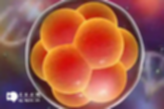 去泰国做一次试管婴儿的全攻略（费用、医院、交通一手掌握）