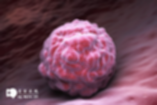 胚胎移植当天憋尿会影响着床吗？提醒：适度控制可提高几率