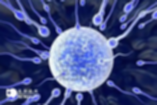 卵子排出、精子排出的存活时间分析，掌握时机可成功受孕