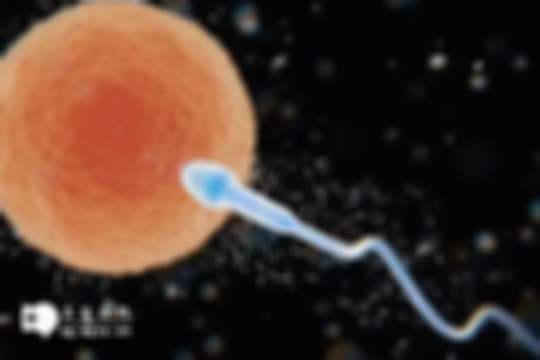 囊胚移植后小腹隐痛是怎么回事，是否着床需评估