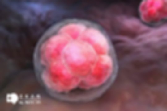 养囊胚看精子还是卵子质量，好与不好在于这几方面