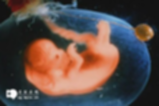 重点整理：怀孕三个月如何护理身体？补充这8个方面影响是关键