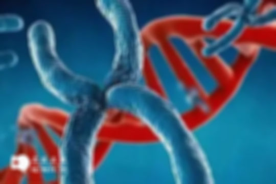 北京做试管3代的总费用范围多少？详细明细如下