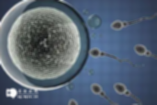 2025泰国试管婴儿成功率真的高吗？解读：赴泰试管生子五大优势