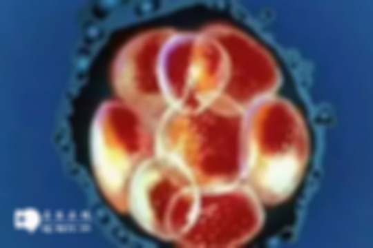 胚胎质量差时，医生一般不建议移植：成功率不高需休养