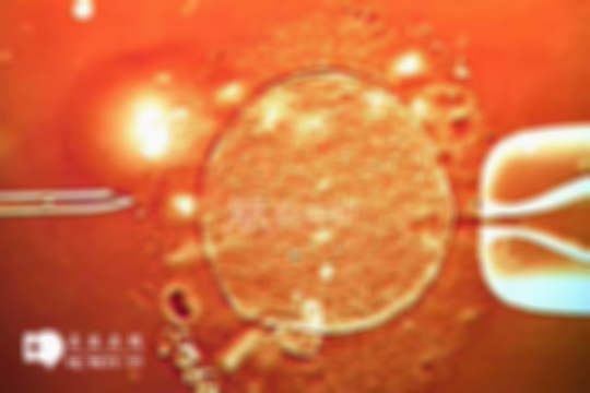 杭州2025年做第三代试管技术的总费用解读，为你燃起新希望！