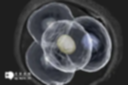 胚胎发育慢的原因有哪些？三大因素赶紧搞清楚