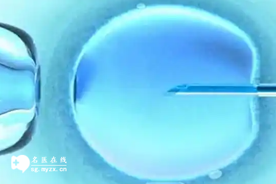 2025年湖北做试管三代需要多少钱？包含哪些项目？