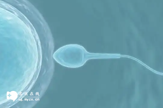 上海做第3代试管婴儿多少钱一次？清单分享