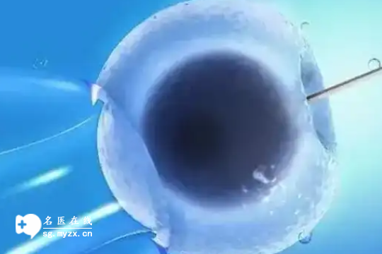 沈阳私立医院做三代试管婴儿费用明细公布（影响因素及注意事项一览）