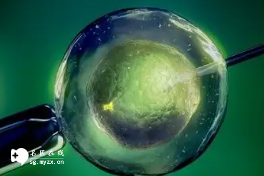 泰国做试管助孕生子价格——2025年助孕费用明细表