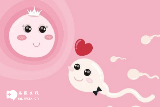 女性排卵期时间怎么推算？超声检测、验血、测体温等方法解读