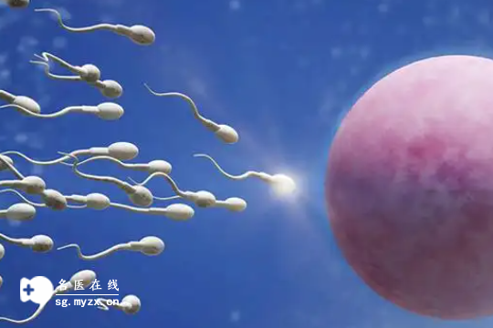 私立机构做三代试管婴儿费用明细表出炉了（2025新）