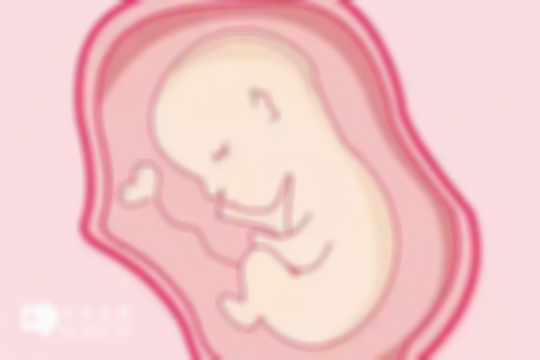 不同孕期的胎动变化规律：孕18-20周感觉强烈