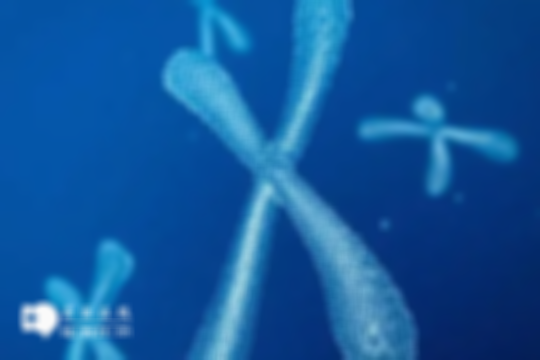没有月经了做三代试管婴儿的费用大概多少？贵不贵看了便知