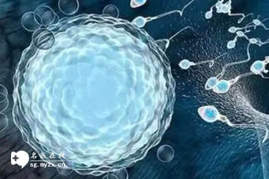 2025年兰州地区做第三代试管婴儿费用具体多少钱？怎么花实惠？