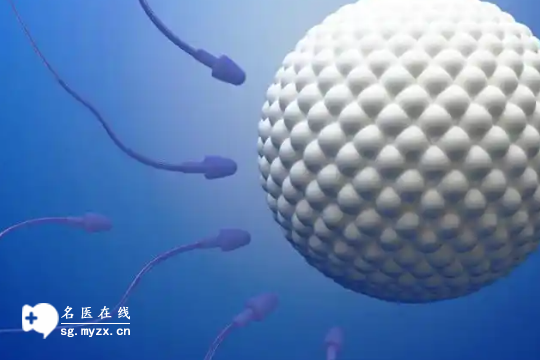 安徽做第三代试管助孕的费用明细分享_安徽三代试管助孕收费标准多少