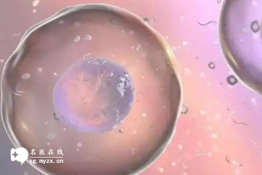 去泰国做三代试管婴儿到底要花费多少钱？各项目标准是什么？