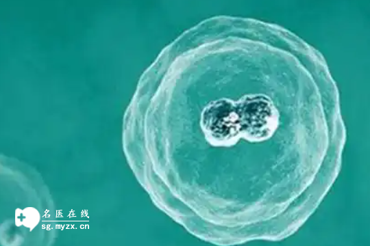海口做试管婴儿第三代多少钱成功率多少？一文讲得清清楚楚