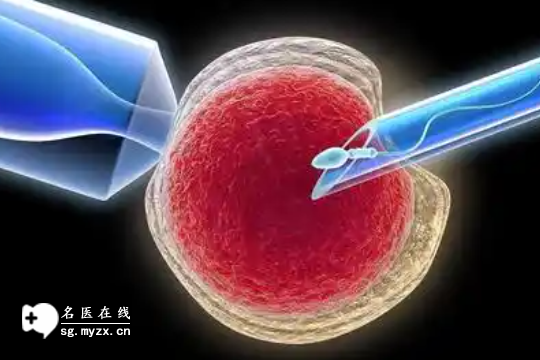 江西做三代试管婴儿的大概费用解析，贵不贵一目了然！
