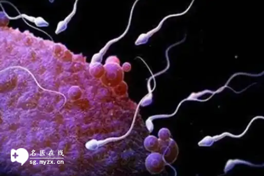 解读：兰州（2025年）做试管婴儿三代需要费用多少，明细简单明了