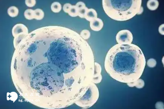 深圳找私立机构做三代试管婴儿得花多少钱，明细清单表一览！