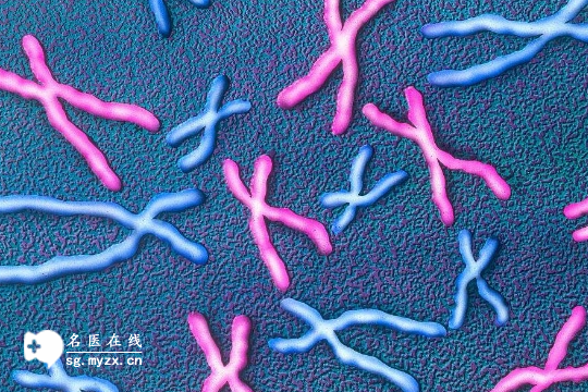 染色体数目变异类型及影响：警惕这三大人体危害