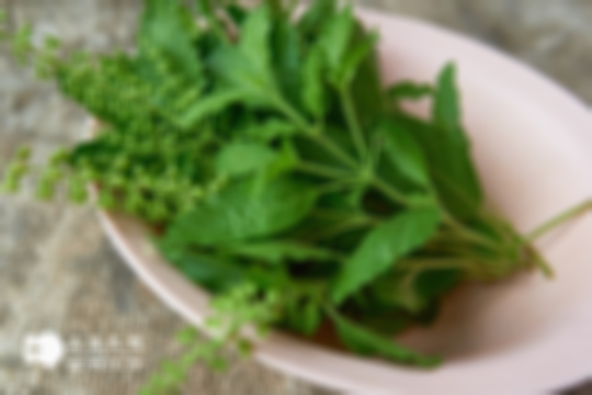 孕妇怀孕期间不能吃的12种蔬菜是哪些？菜名已整理好，赶紧来看！