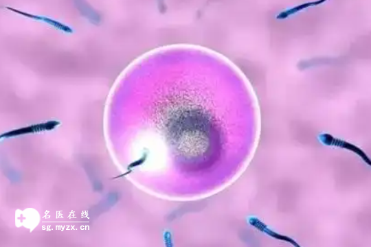 2025年福州地区做一次三代试管婴儿的全部费用是多少（含省钱攻略）
