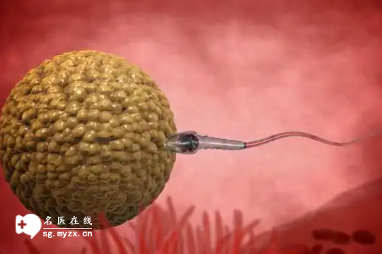湖北地区做第三代试管婴儿的整体收费价目表一览！