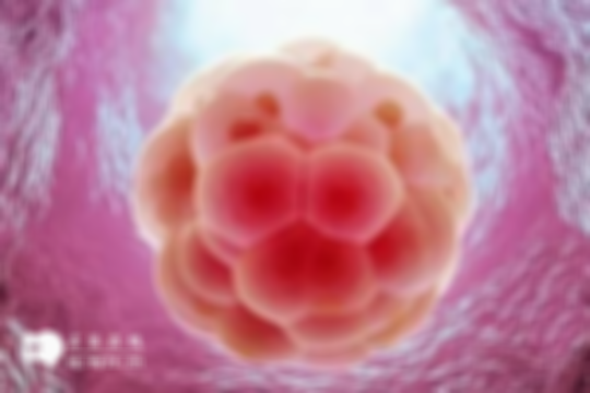 济南高龄做三代试管的价格多少？济南今年做三代试管价格大概5-10万