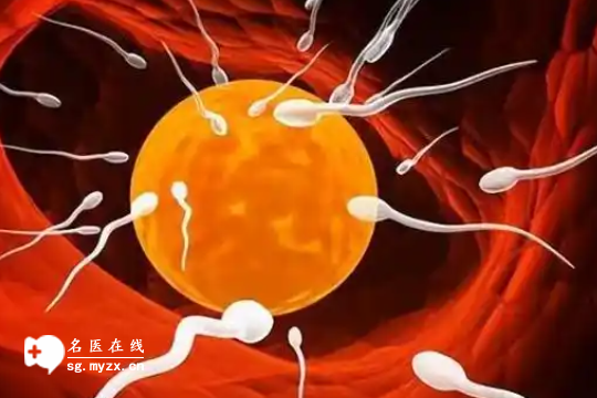 早孕期阴道有少量出血的原因：子宫肌瘤、子宫息肉等都有可能