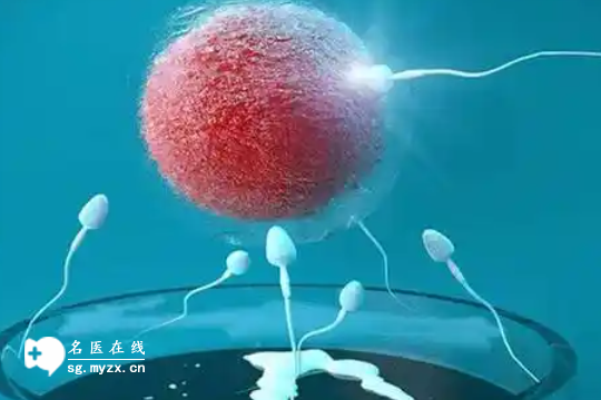 天津找私人机构做三代试管婴儿的费用清单表全部公开（仅供参考）！