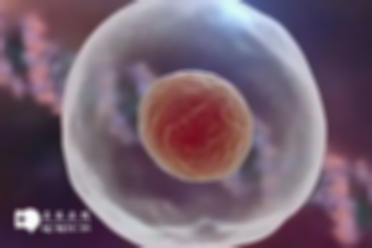 影响卵子存活时间的主要因素：年龄、卵巢功能和生活方式！
