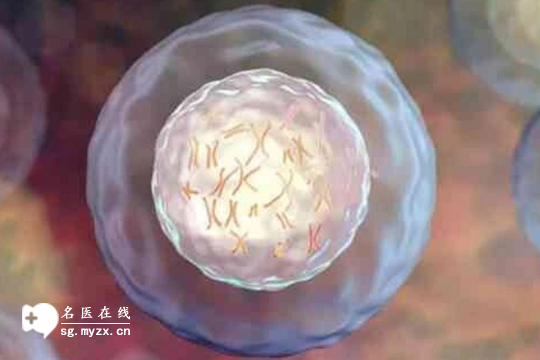 试管婴儿：如何判断囊胚着床失败和生化妊娠？看时间只是其一