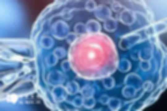 湛江找私立医院做三代试管的费用：明细及影响因素解析，省钱攻略大放送！