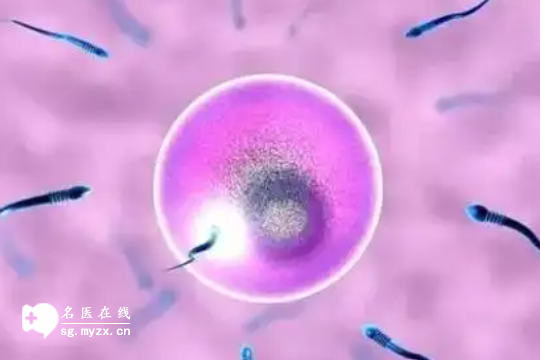 深圳地区做试管婴儿三代需要多少钱（预算准备5-10万差不多了）