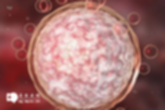 女性生育知识：雌激素水平过高也会影响卵泡质量，特别是卵泡破裂、发育不良等问题