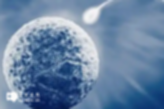 武汉地区做试管婴儿的费用价目表—2025年标准公开！