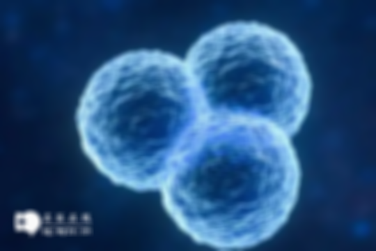 甘肃做第三代试管婴儿技术多少钱一次？各项目收费标准来了解看看