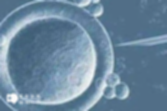 2025年湛江做试管婴儿三代一般需要多少费用—各项目明细标准如下，仅供参考！