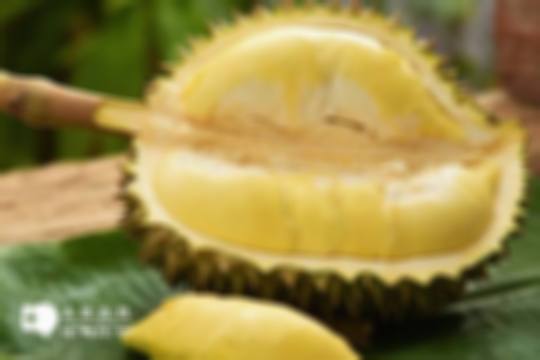 吃榴莲能增厚内膜？别被传言误导，揭晓4大正确食疗方法